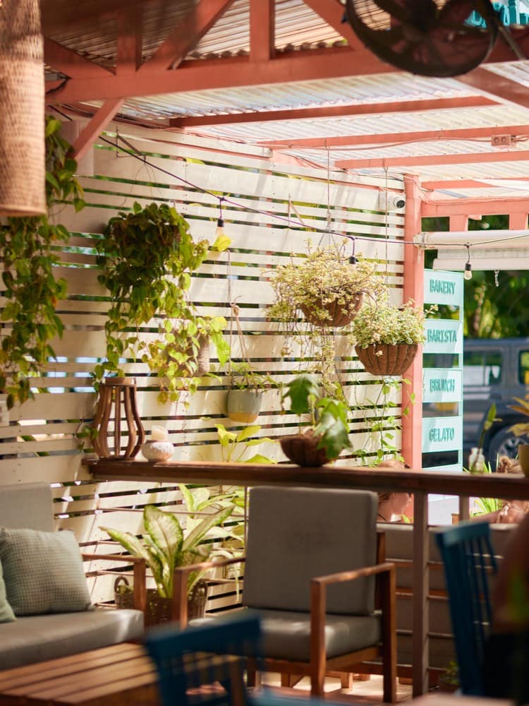 Terraza de Baya Baya con plantas colgantes y el cartel Bakery · Barista · Brunch · Gelato